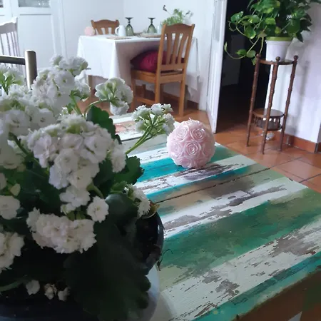 Privatunterkunft Musas Gastro Casa Rural